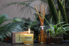 Sandalwood Scented Candle