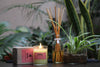 Coffee Scented Candle - Gulabsingh Johrimal
