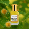 Exotic Kadamba - Gulabsingh Johrimal