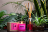 Raspberry Scented Candle - Gulabsingh Johrimal